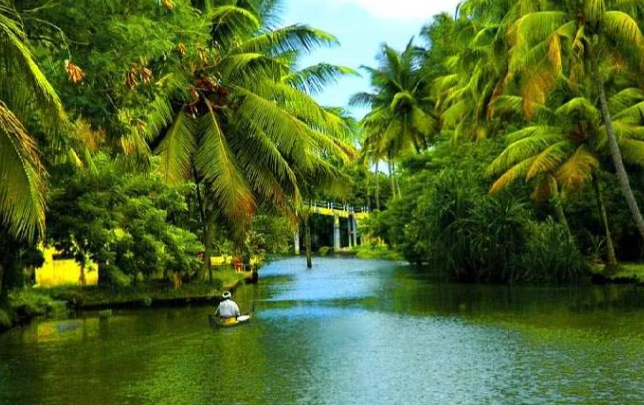 Kerala Travel Guide: Plan an Unforgettable Journey Through God's Own Country